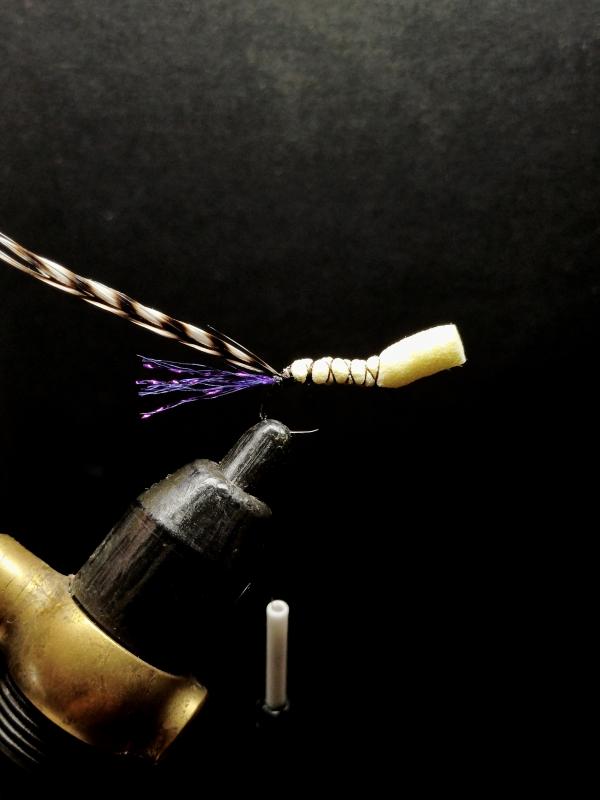 FOSAF_7204.jpg