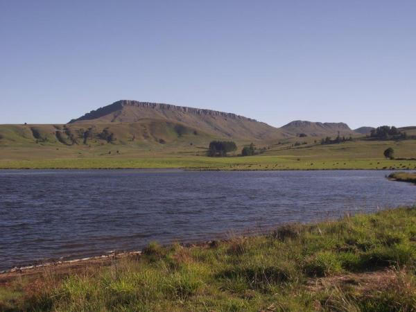FOSAF_7428.jpg