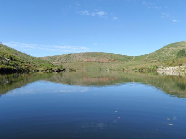 FOSAF_7462.jpg