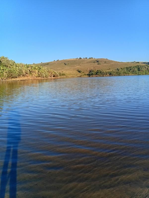 FOSAF_7504.jpg