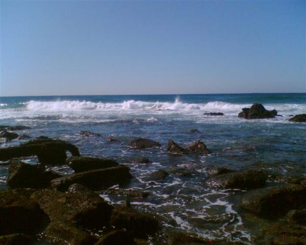 FOSAF_7512.jpg