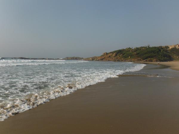 FOSAF_7584.jpg